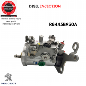 Pompe Injection R8443B930A Delphi Peugeot 205 1.8 Diesel