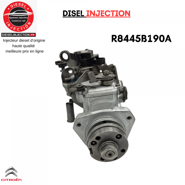 Pompe Injection R8445B190A R8445B191B Delphi Citroen Saxo 1,5 D (Type TUD5)R8445B190A    R8445B191B  R8448B182B  R8448B391A