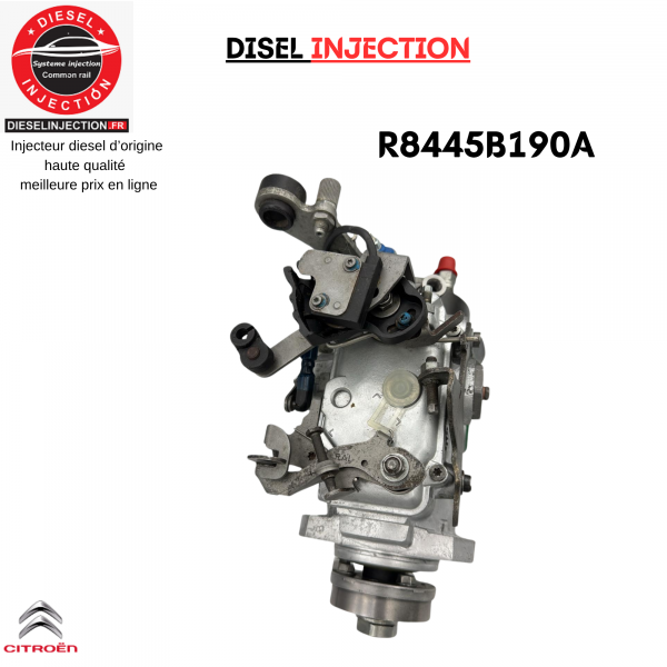 Pompe Injection R8445B190A R8445B191B Delphi Citroen Saxo 1,5 D (Type TUD5)R8445B190A    R8445B191B  R8448B182B  R8448B391A