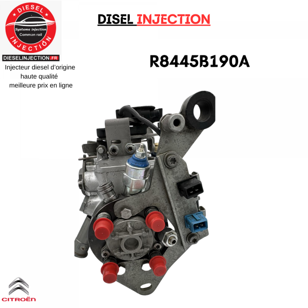 Pompe Injection R8445B190A R8445B191B Delphi Citroen Saxo 1,5 D (Type TUD5)R8445B190A    R8445B191B  R8448B182B  R8448B391A