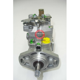 Pompe à injection Équivalente 0460313006 Remplaçante