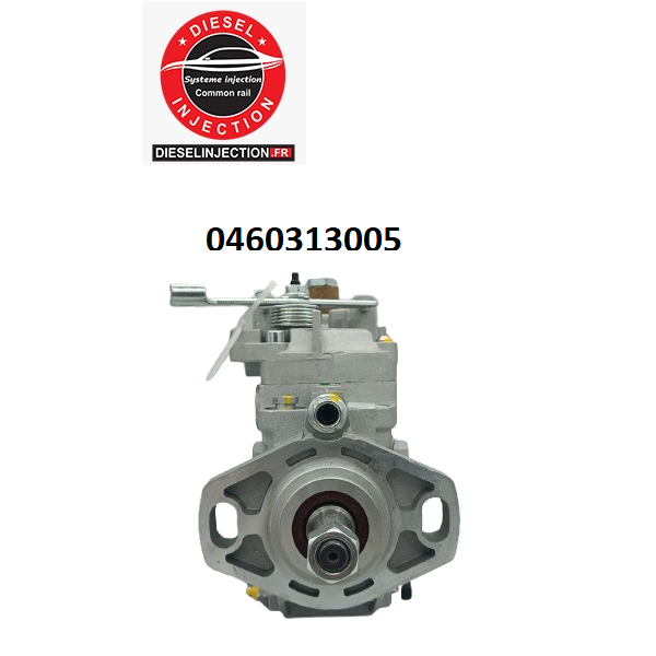 Pompe à injection 0460313005 Modifiable