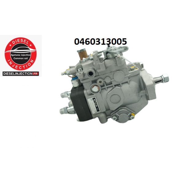Pompe à injection 0460313005 Modifiable
