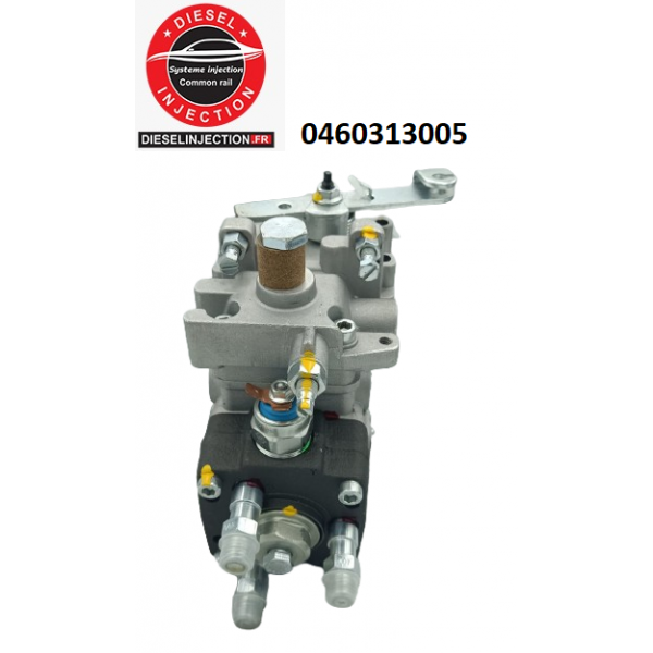 Pompe à injection 0460313005 Modifiable